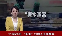 辛巴事件女主爆料视频,揭秘惊人内幕