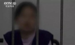 南川记者爆料事件始末视频,真相与争议的交织