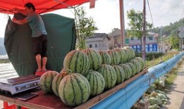 安海网红吃瓜事件