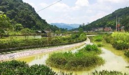 三板溪生态渔村最新爆料,绿色生活新风尚，生态旅游新亮点”