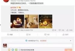 娱乐爆料绯闻是真的吗知乎,真相还是炒作？