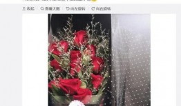 玫瑰恋情爆料热歌视频大全,热歌视频大全带你领略浪漫旋律