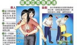 肚脐电影完整版在线观看,揭秘神秘肚脐世界的奇幻之旅