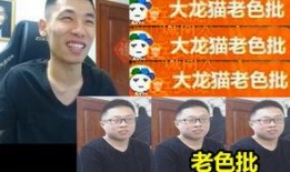 宝哥爆料龙猫视频播放,龙猫视频播放幕后揭秘