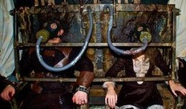 鬼屋吃瓜现场视频大全免费观看,鬼屋吃瓜视频大全免费放送