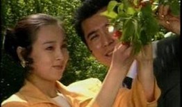 女人不是月亮电视剧全集在线观看,揭秘女性独立自主的精彩人生