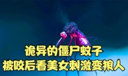 僵尸蚊子在线观看,吸血鬼之夜的恐怖降临