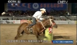 世界杯赛后爆料视频,赛后爆料视频曝光惊人内幕