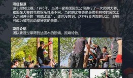 冲锋勇士室友爆料视频在线观看,冲锋勇士幕后故事，独家视频带你揭秘