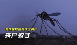 僵尸蚊子在线观看,吸血鬼之夜的恐怖降临