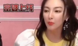 辛巴事件女主爆料视频,揭秘惊人内幕