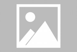 缉枪西瓜影院在线观看,在线观看惊险刺激的枪战大片