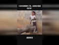 大鹅被大哥爆料视频播放,揭秘背后真相