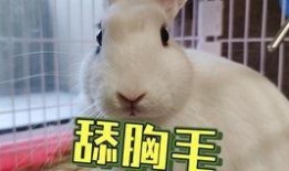 吃瓜抖音搞笑抖音网红,抖音搞笑网红带你领略欢乐食光”