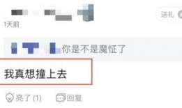 大连打人爆料事件最新,真相与反思，社会正义的拷问