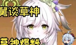 草神最初爆料是谁啊视频,揭秘神秘爆料者身份