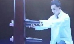 咏春在线观看,在线重温经典武术风采