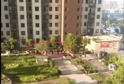 南阳爆料最新,揭秘当地最新热点事件背后的真相