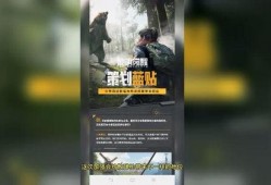 黎明爆料最新视频播放,幕后故事与精彩瞬间大公开