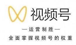 微信视频号爆料,热门内容背后的秘密