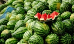 网红导管吃瓜,揭秘网络红人的幕后生活