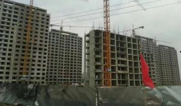 长春新星宇最新爆料,揭秘项目神秘面纱背后的惊人真相