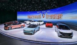 吉林市新车爆料事件视频,视频揭露惊人内幕，真相令人震惊！