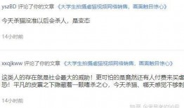 怎么发视频给官方爆料群,揭秘官方爆料群视频发送攻略