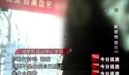 今日说法官网爆料,揭秘真实案件背后的故事