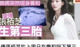 王海鑫爆料张柏芝视频,真相与争议