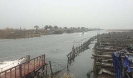 三板溪生态渔村最新爆料,绿色生活新风尚，生态旅游新亮点”