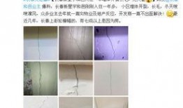 长春新星宇最新爆料,揭秘项目神秘面纱背后的惊人真相