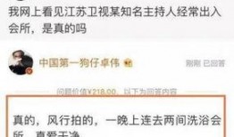 卓伟爆料破案视频大全,揭秘娱乐圈破案视频大全