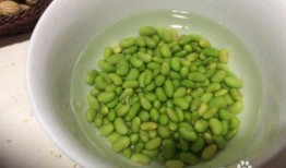 花生毛豆爆料怎么做视频,揭秘视频制作全攻略