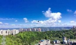 南充南部县新闻怎么爆料,聚焦民生热点，共筑和谐家园