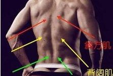 健身男教练爆料视频大全,独家爆料健身视频大全