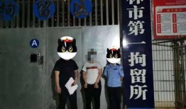 男子看房被抓爆料新闻,揭秘看房背后的惊人真相