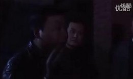 大案在线观看,揭秘惊心动魄的真实案件