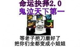 宝哥爆料龙猫视频播放,龙猫视频播放幕后揭秘