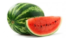 小蓝鸟免费吃瓜渠道,畅享独家娱乐盛宴！