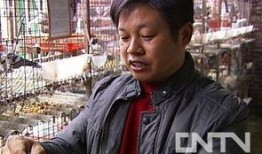 王小飞最新爆料视频,惊人内幕曝光！