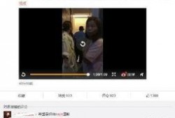 网红最新事件爆料大全视频