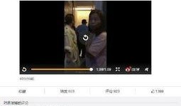 网红最新事件爆料大全视频