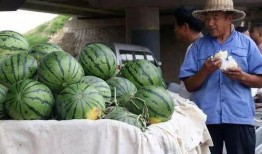 安海网红吃瓜事件