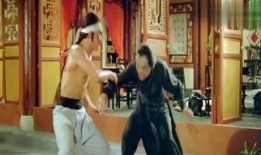 咏春在线观看,在线重温经典武术风采