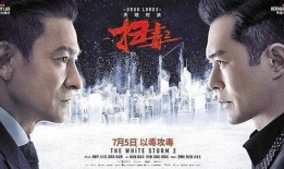 扫毒电影在线观看,卧底风云，生死较量