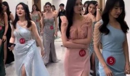 柬埔寨网红爆料视频大全,揭秘网红圈幕后故事