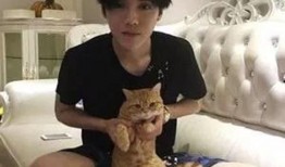 鹿晗豪宅爆料事件视频大全,揭秘明星奢华生活幕后