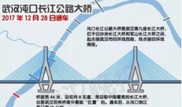 武汉长江爆料最新消息今天,今日突发事件深度解析