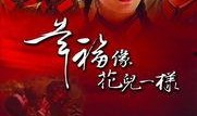 电视剧幸福像花儿一样在线观看,浪漫温馨的军旅爱情故事